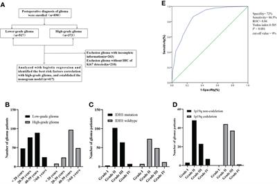 Based on clinical Ki-67 expression and serum infiltrating lymphocytes related nomogram for predicting the diagnosis of glioma-grading